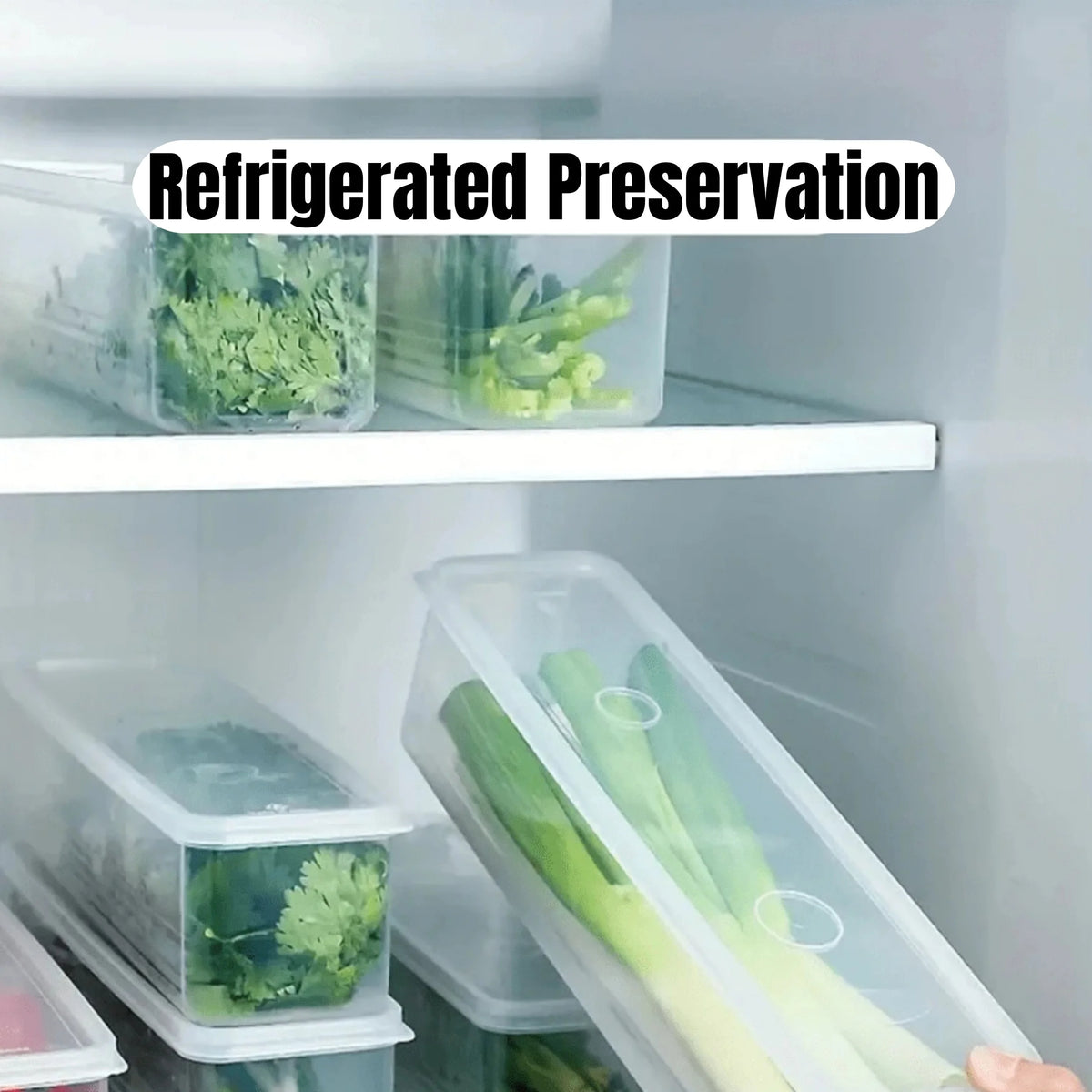 Refrigerator Storage Containers
