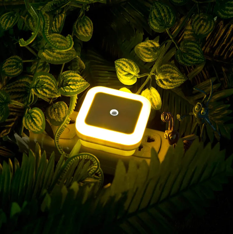 Plug-in LED Night Light with Sensor