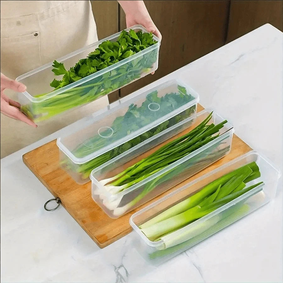 Refrigerator Storage Containers
