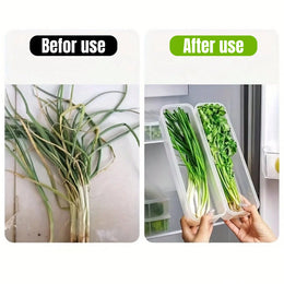 Refrigerator Storage Containers