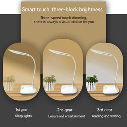 Dimmable Desk Lamp with USB Port